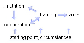 Relation between nutrition, regeneration and training, adjusted to goals and based on an anamnesis