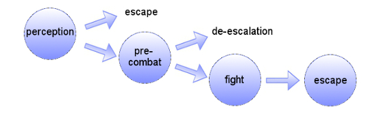 4-stages-model: Perception of situations, behaviour during pre-combat, de-escalation/fight, escape